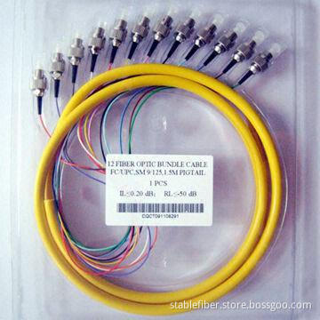 Bundle fiber pigtails, high bit rate data transmission